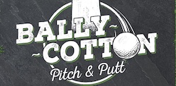 Pitch and Putt