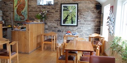 Ballymaloe Cafe