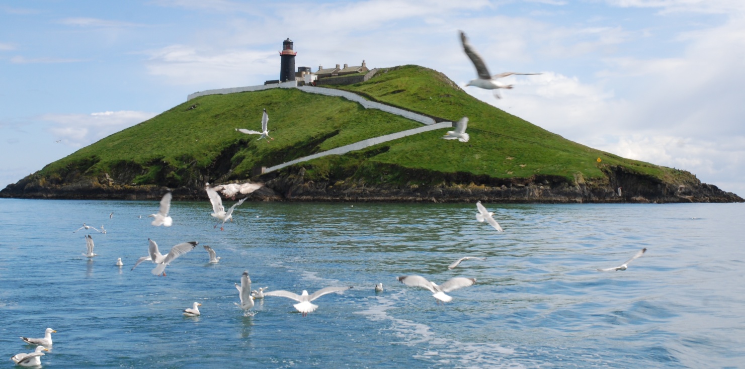 Ballycotton Cliff Walk Map